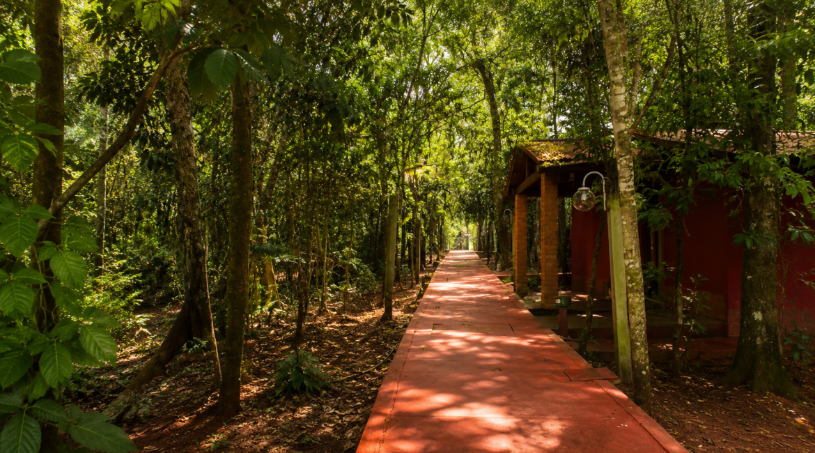 Hotel en Puerto Iguazú rodeado de naturaleza | Don Horacio